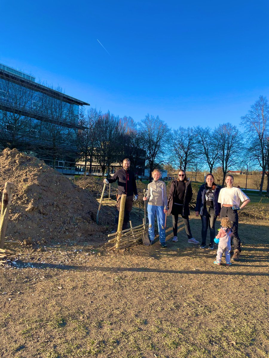 Nocalbito's tweet photo. Great work with a great team yesterday! With our project #TUMBeeParadise we are creating even more suitable habitat for wild bees on campus 🐝 More Info to follow this spring and summer! #beediversity #wildbees https://t.co/7O1h5g1p3h