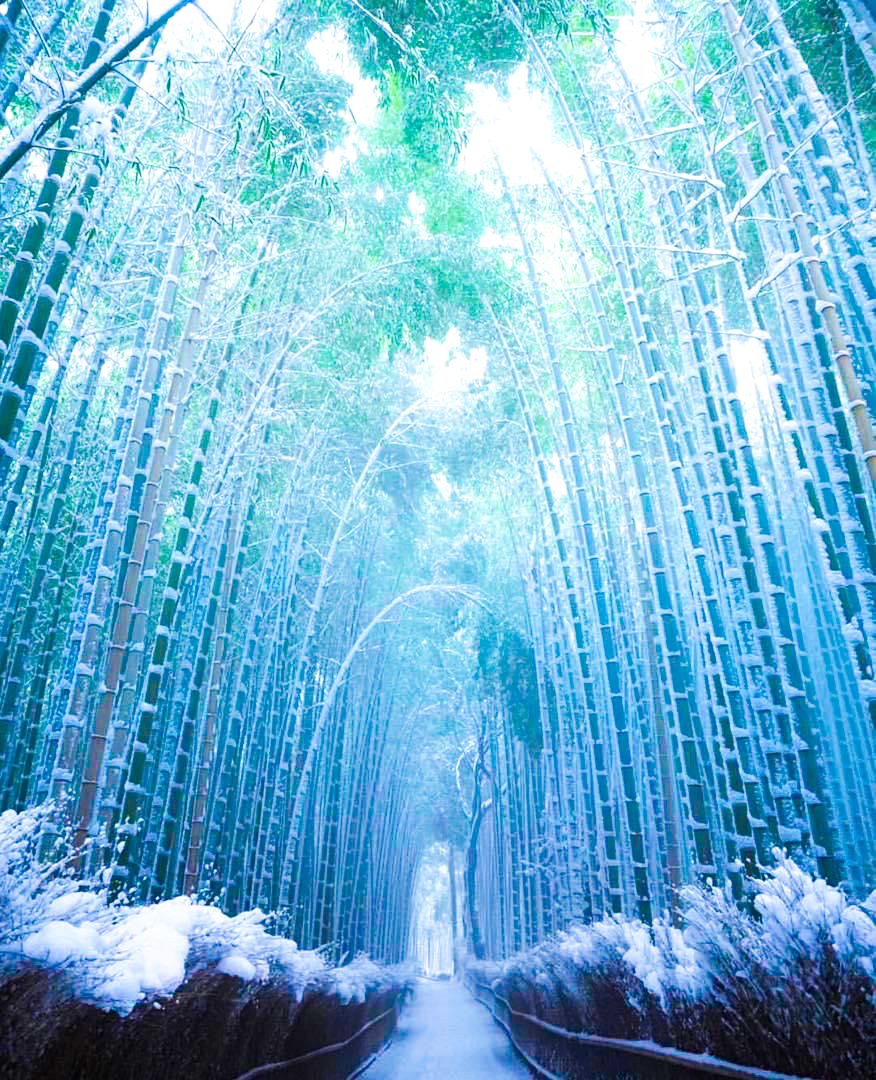 Nyunguforest's tweet photo. If Winter Ever Comes, Nyungu Yamawe Forest Park will transform into a breathtaking wonderland. ๐๐ฒ
๐SERENE LANDSCAPES๐
#uganda
#DDRAtNyungu
#DisconnectDeclutterRenew
#nyunguyamaweforestpark https://t.co/8qtxawjvDg