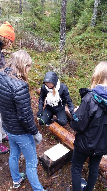 Suunniteltiin @4hsalo'n  johdolla toukokuista 8-luokkalaisten metsäpäivää. Mukana myös biologian ope, metsänhoitoyhdistys, riistanhoitoyhdistys, luonnonsuojeluyhdistys ja <a href="/metsakeskus/">Suomen metsäkeskus</a>.
Metsäpäivällä on Salossa pitkät perinteet. Saa kopioida! #metsätutuksi #metsäala