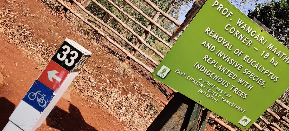 timotsi1's tweet photo. That was a good 18kms #elephantHill #daringmtKenya2 loading https://t.co/UFkm5k5yVi