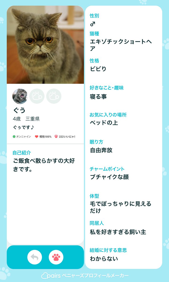 Ⓟ tweet media