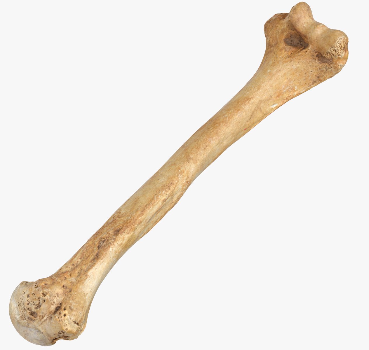 Кость 3к10