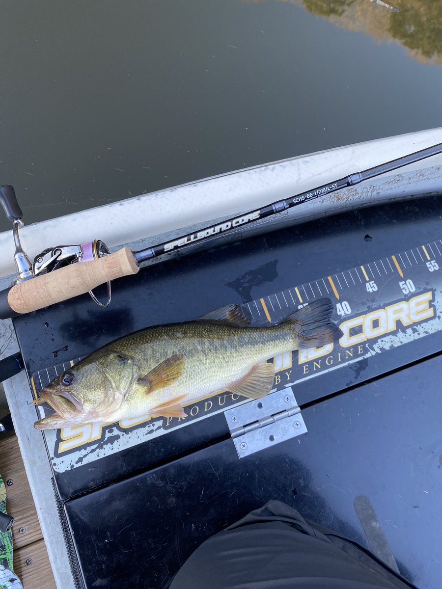keee_suke's tweet photo. 2/22三島湖
スペルバウンドコア
SCHS-66-1/2XUL-ST 
-Micro BaitSpecial

Babylike 2 ホバスト https://t.co/4ucAoYjvVG