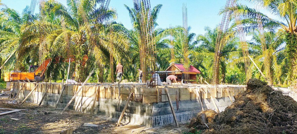 MuhammadKudra's tweet image. #zada
#UpdatedFebruary2023