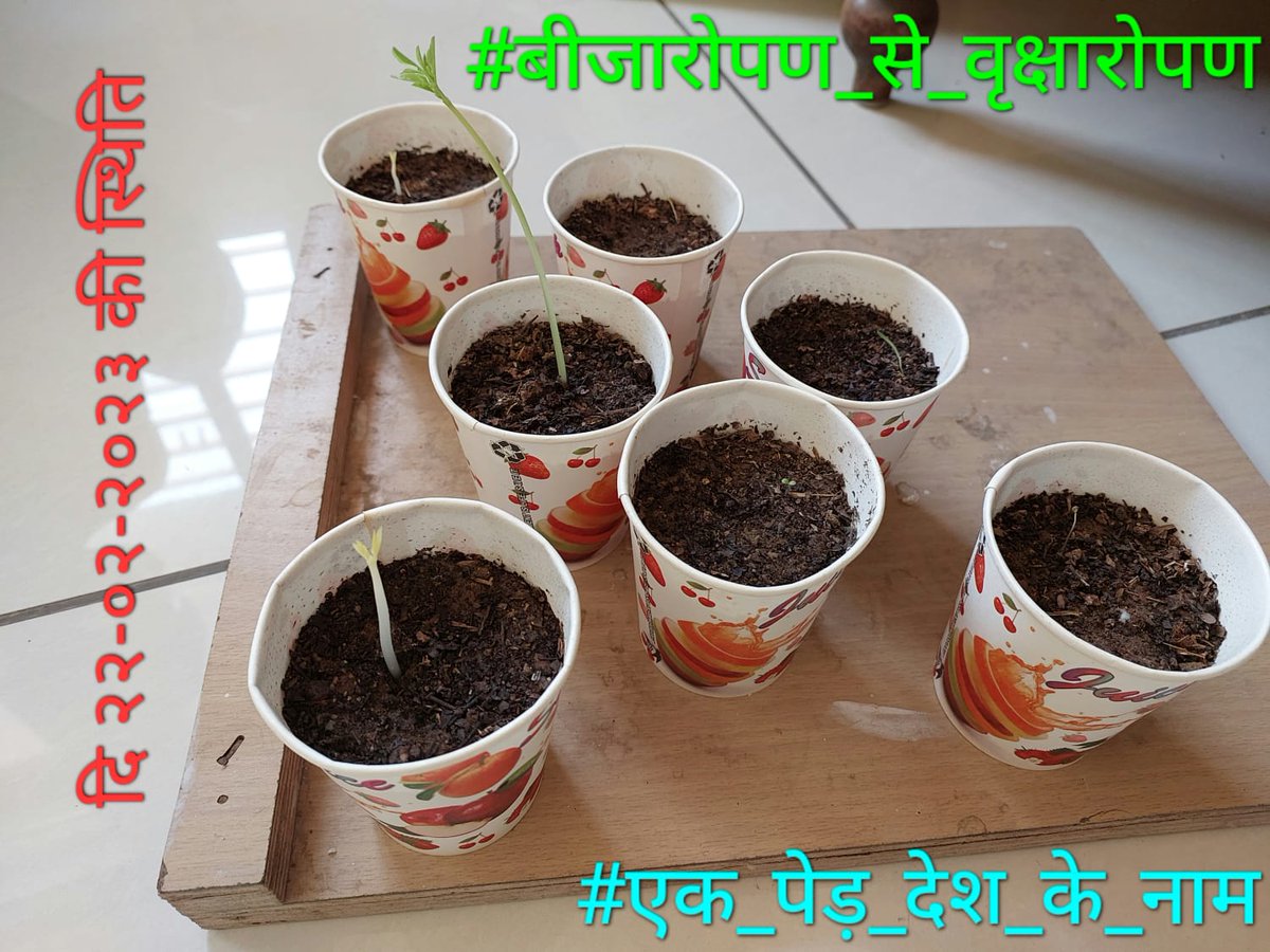 hvmojidra's tweet photo. दस दिन के बाद #बीजारोपण_से_वृक्षारोपण की स्थिति।
आप को भी आह्वान है।
#EnvironmentChallange
बीजारोपण से #एक_पेड़_देश_के_नाम https://t.co/Wvq6NEagHJ