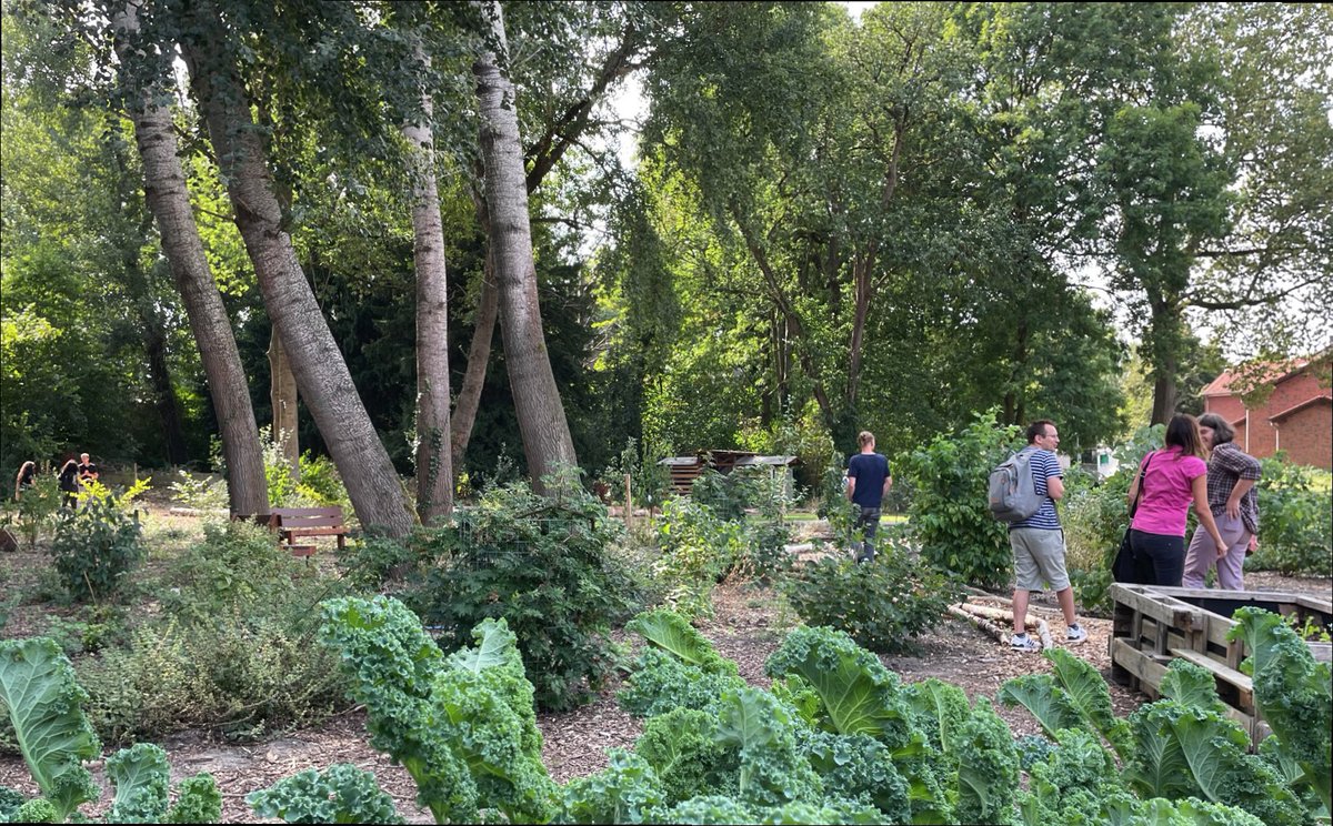 proGIreg's tweet photo. Back to @stadtdortmund where some underutilized land was used to pave the way for a community-based #foodforest! 🍒🌳
This forest supports #localfoodproduction &amp; brings the community together! 
Learn more from our new #NBS factsheet here: https://t.co/r7G1sHoiLD https://t.co/A9P1YFyqsU