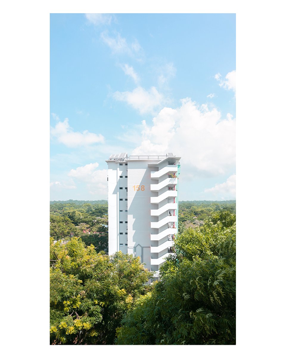 createdby_yew's tweet image. 12 : 29
Coriander cake; #sprouting
[📷] #SonyNEX5
