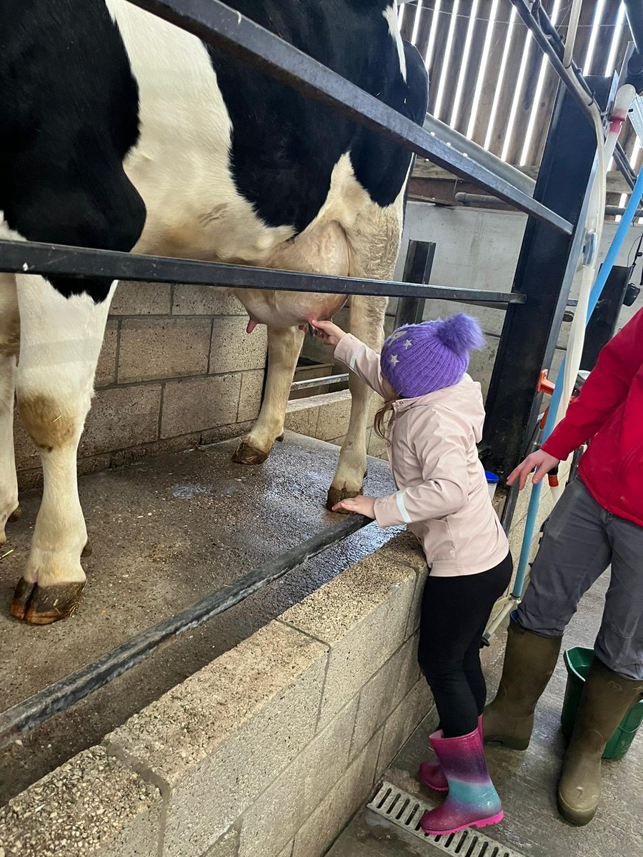 Lakeside_school's tweet photo. Working up a hunger this morning. #choresgalore #lifeonafarm ⁦@RandFarmPark⁩ https://t.co/ZdMIsEVZgl