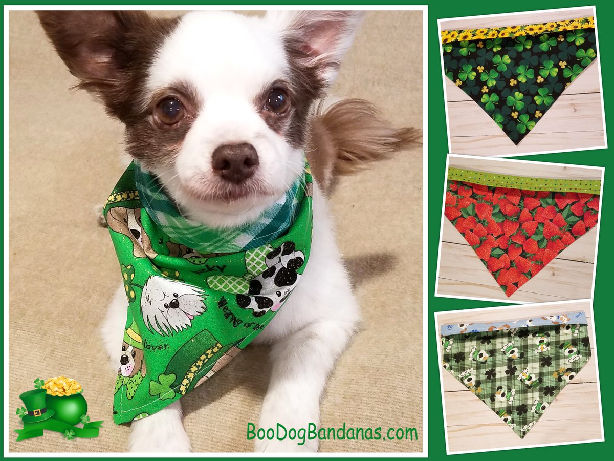 CharliePawsUp's tweet photo. ☘️PUPDATE!☘️
Get Ready for #Shenanigans ! 
50% OFF for 1 DAY ONLY Feb 22!
☘️All 3 #StPatricksDay Bandanas 
🍓PLUS a Strawberries Bandana for Half Off too!
ONLY Thru Midnight PST Wed 2/22!
*Store Link in Profile
Please RETWEET!☘️♥️🐶
#dogsoftwitter #CatsOfTwitter #dogsarefamily https://t.co/fEbmOTeGh3