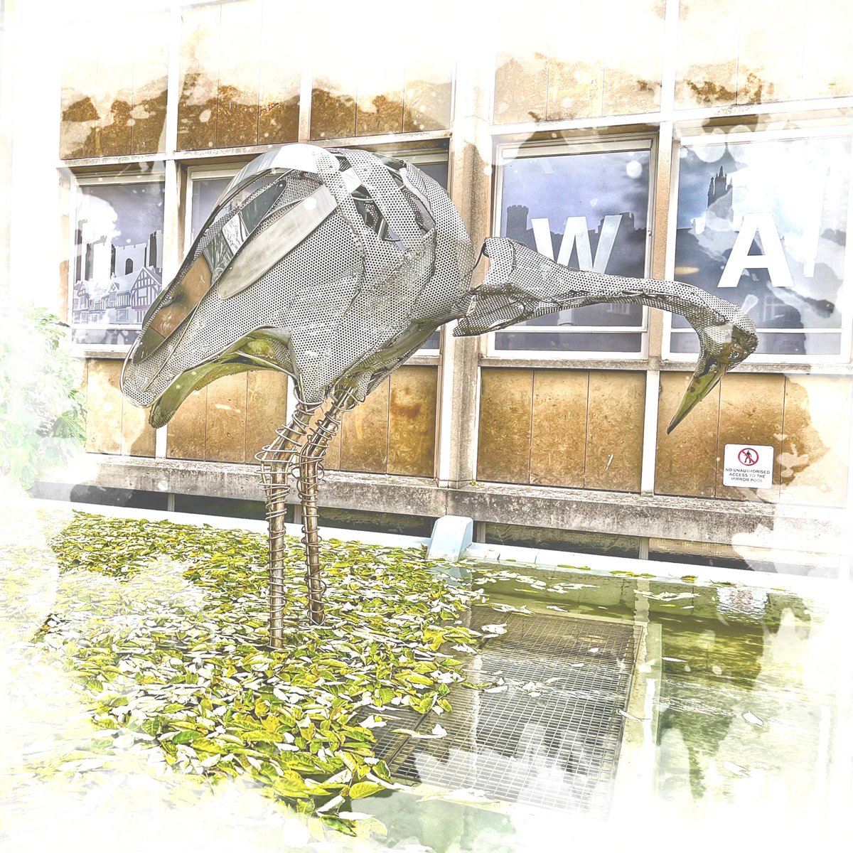 David Lawrence tweet media