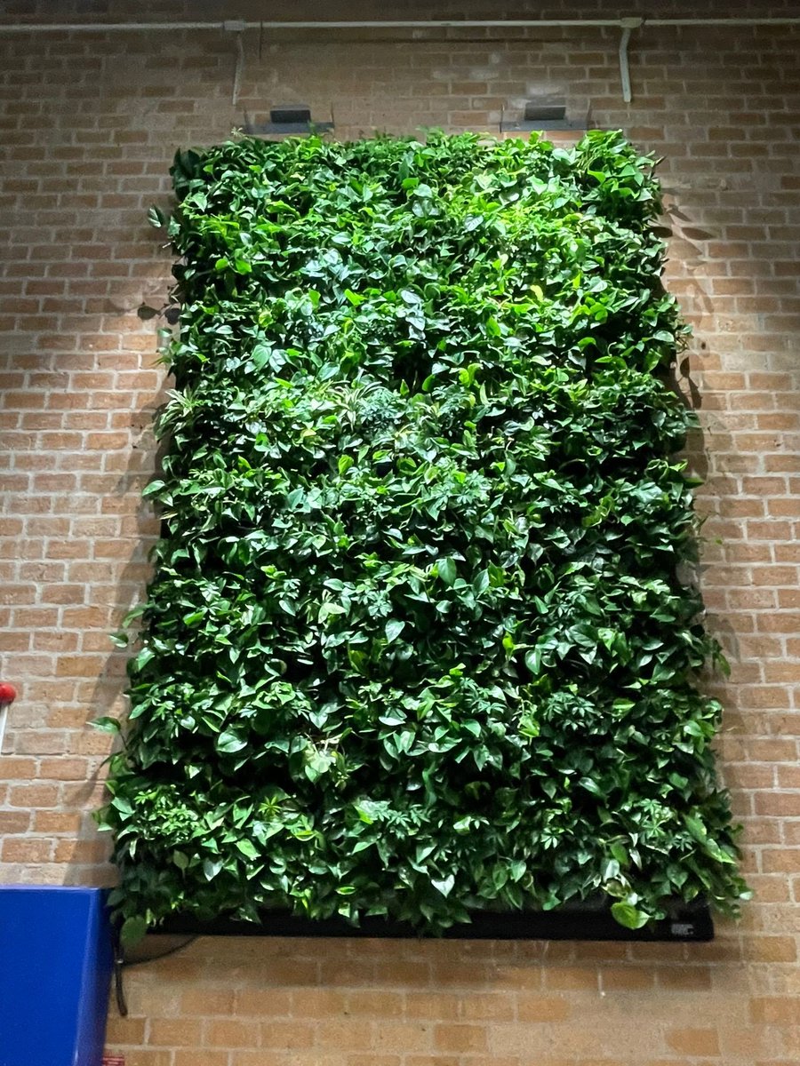 European Platform for Urban Greening (EPLUG) tweet media