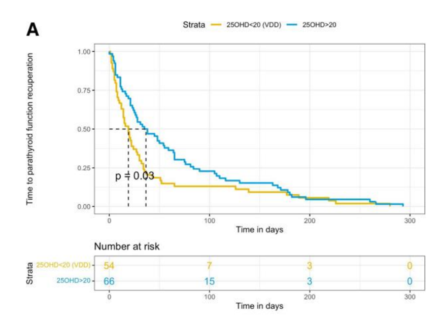 Enrique Mercader tweet media