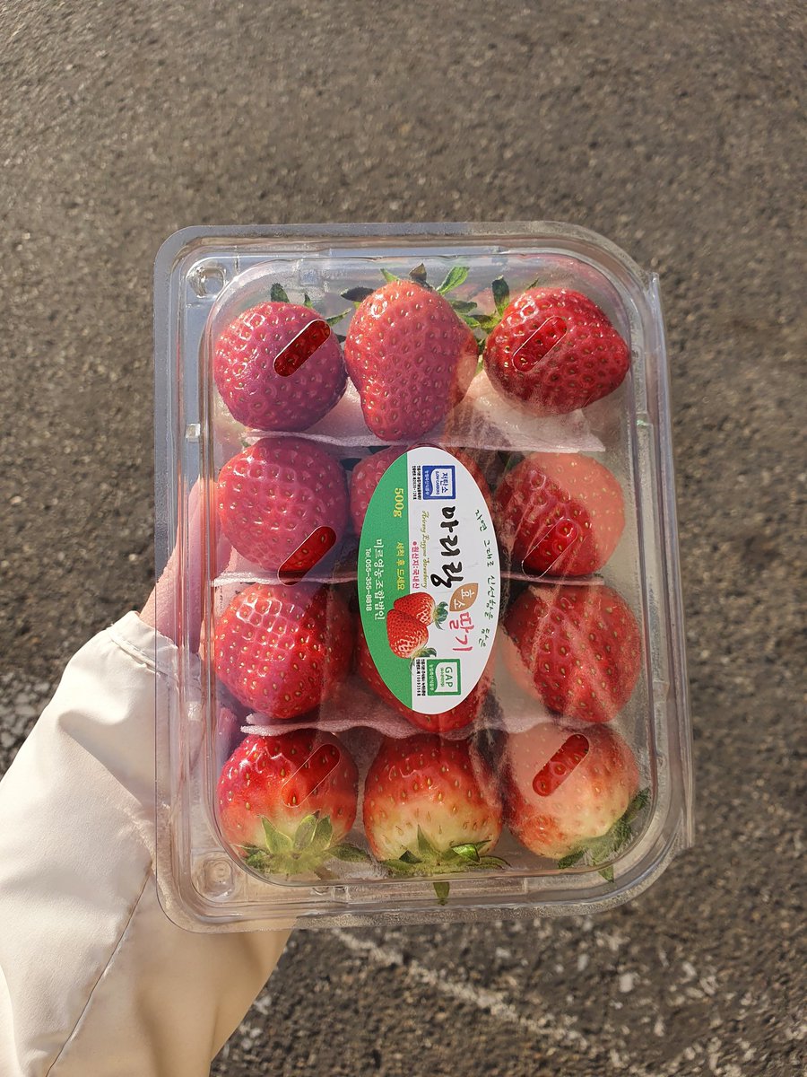 딸기광인 집가서 부신다