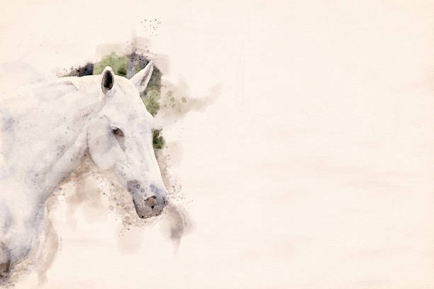 equineexp tweet picture