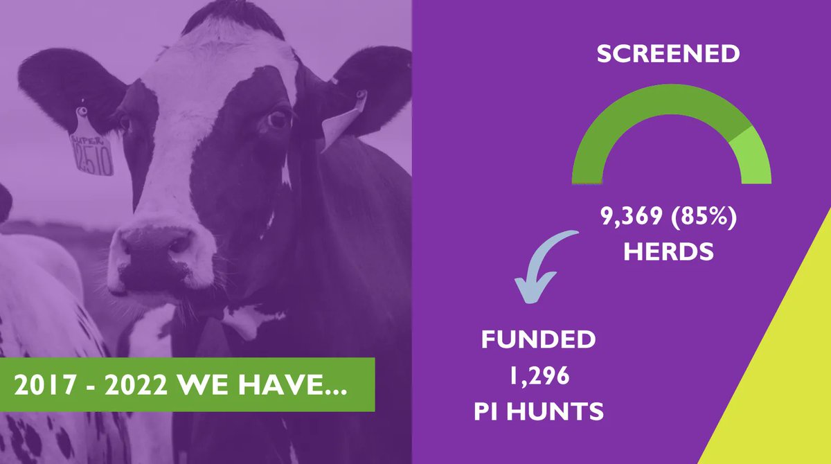 GwareduBVD's tweet photo. 📣 85% of herds in #Wales screened for #BVD through Gwaredu BVD from 2017 – 2022.

👉 Essential in achieving this Wales-wide participation was industry collaboration and support. Find a full list of our partners here: https://t.co/TmPp3aNLJw

#partnershipworking #industryled https://t.co/vpa70P5Jaj