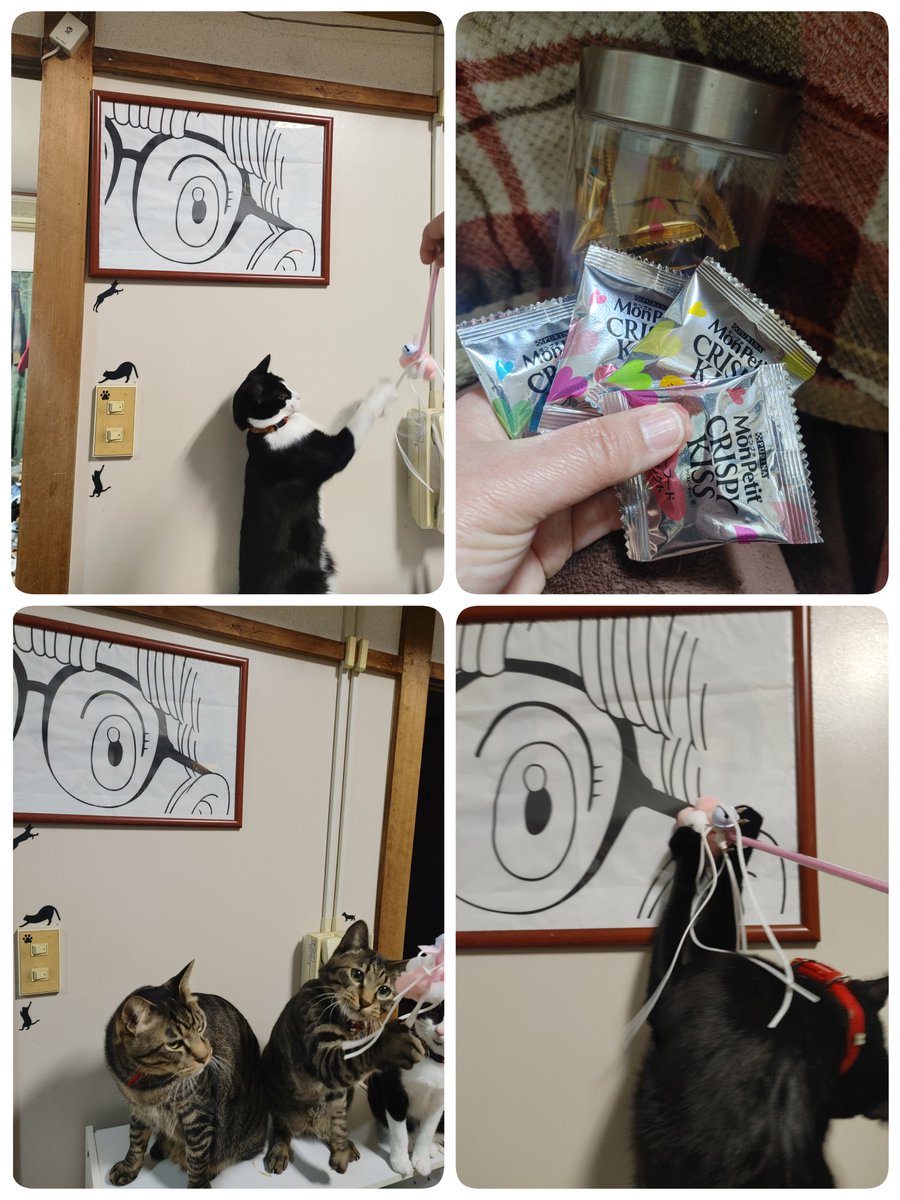 77nana777neesan's tweet image. #ねこの日
#2022年2月22日
#御朱印
#ねこの御朱印
御朱印諦めてたんだけど
ゲットしてきてくれました。
ありがたき！！

おねこ様におやつとおもちゃまでいただきました。
ありがとうございます！！