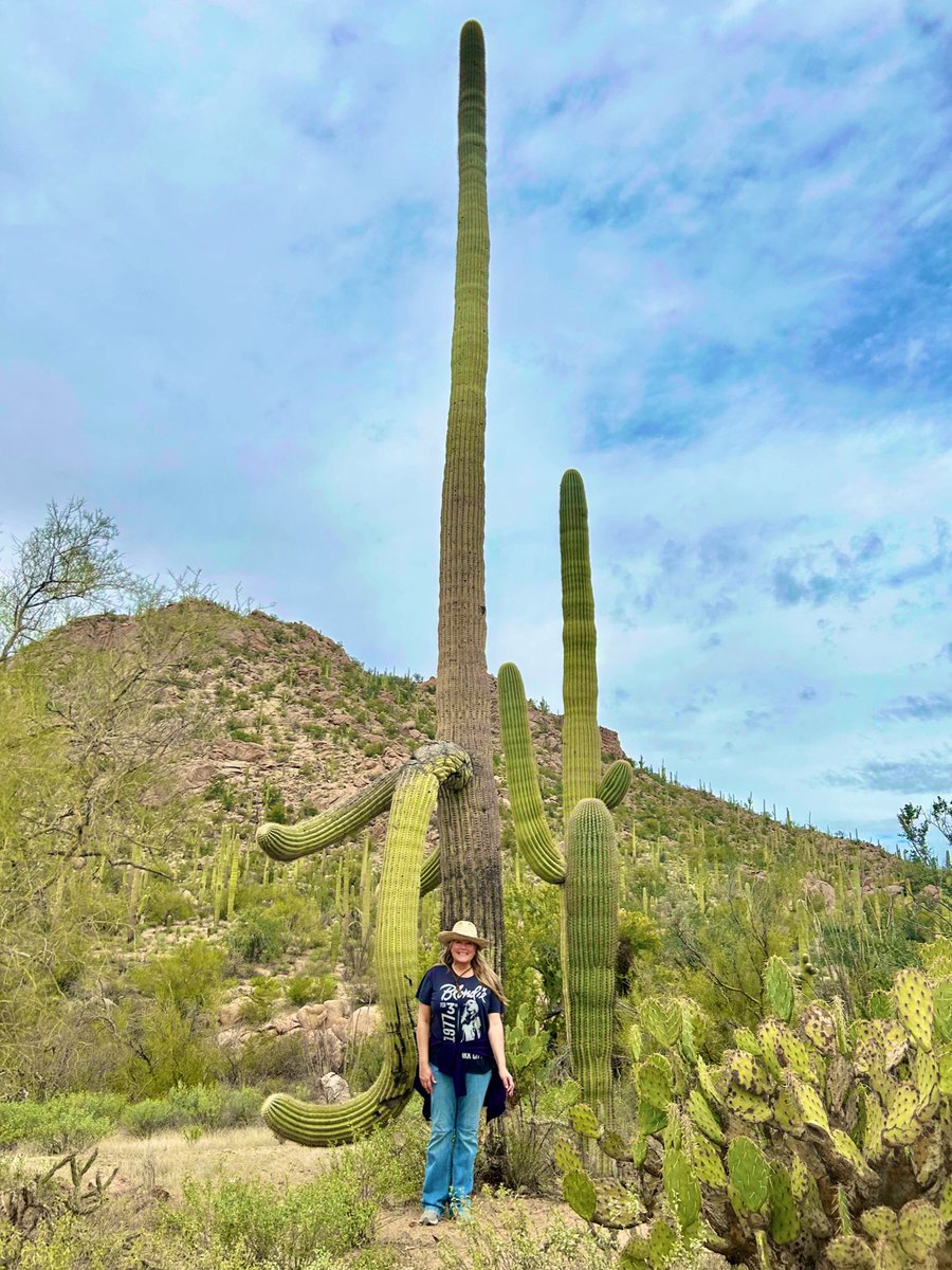 Cactus metabolize C from atmosphere in life AND when they die & decompose, transform Ca oxalate biominerals (weddellite), sequestering inorganic C in desert soil #forever (like coral in the ocean!!) #climatemitigation #naturebasedsolutions 🌵🌎🌍🌏#carbonsequestration #FTW