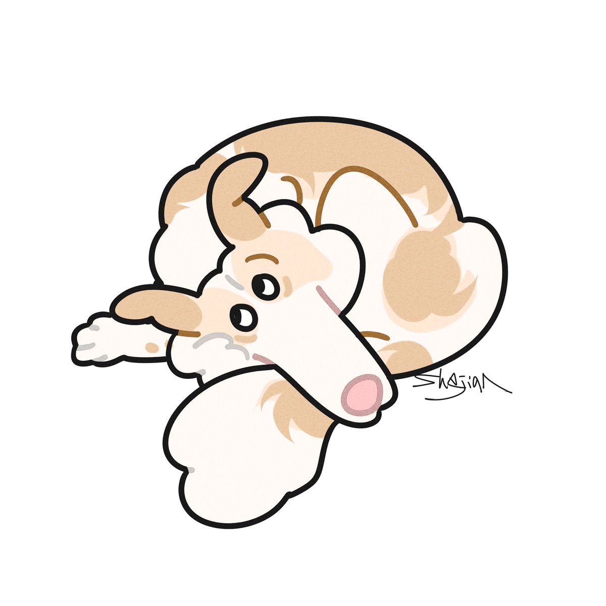 shejian0902's tweet photo. 愛犬たち
#オリジナル #original
#イラスト　#illustration  
#お絵描き　#落書き
#犬の絵　#dogart #dogillustration
#ボーダーコリー　#bordercollie
#柴犬　#shibainu #shibaken https://t.co/5UjcDUA02I
