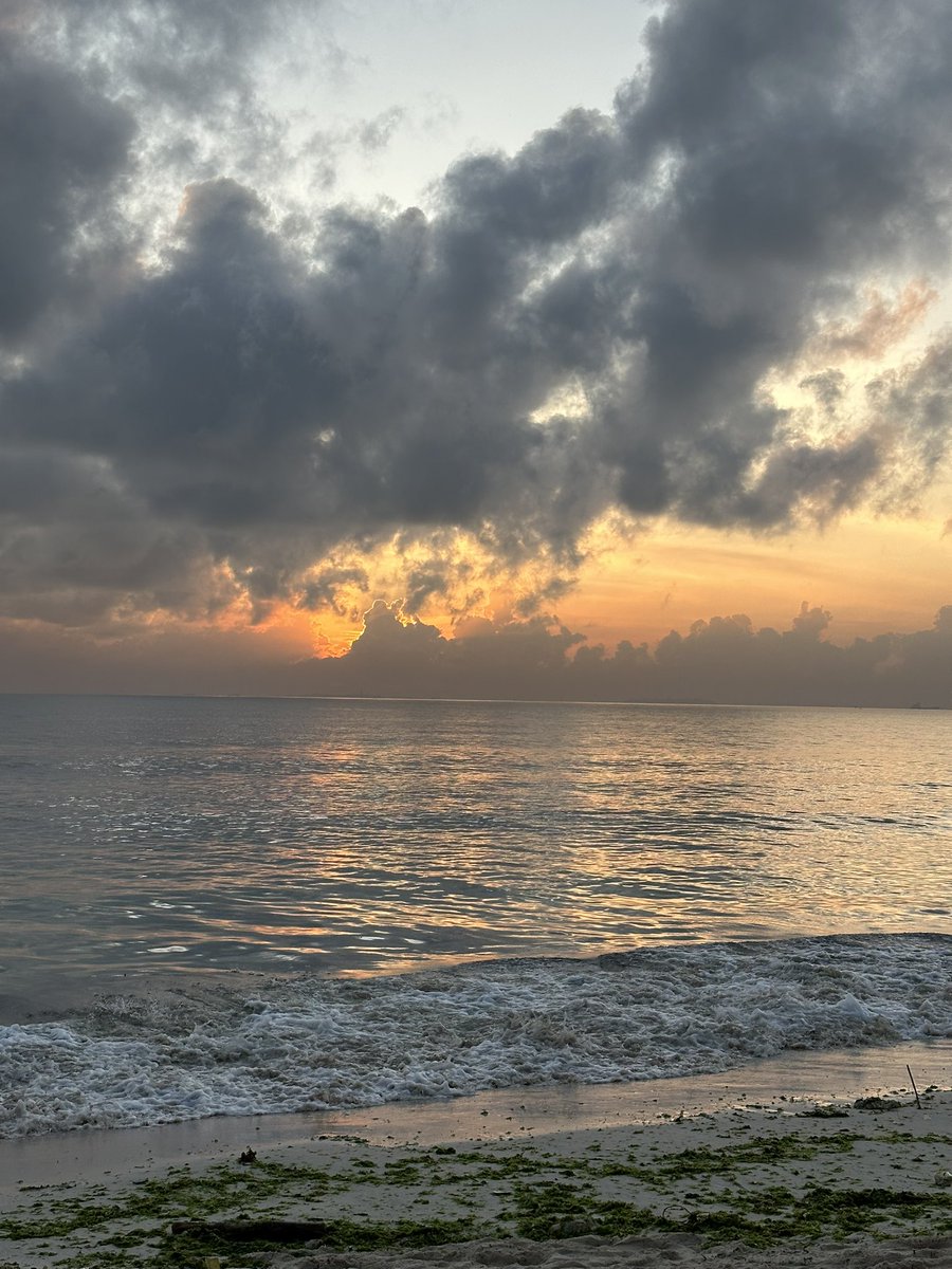 bijou_ms's tweet photo. #uzi nilivokutana na Aisha mtoto wa miaka 4 coco beach 🏝️.Kawaida huwa naamka saa kumi na moja  kasoro alfajiri kwa ajili ya Fajr then najiandaa kufanya mazoezi around 05:30 na walk to coco beach.October mwaka jana kama kawaida yangu Nimefika coco mida ya saa kumi na mbili kasoro https://t.co/3y3gEdCNJb
