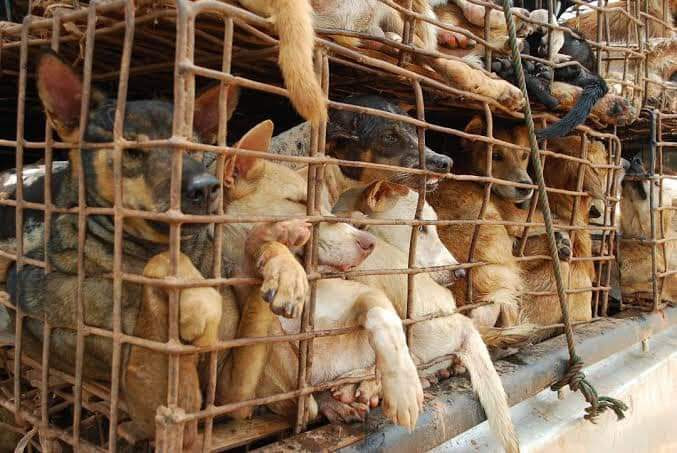 جیل بھرو تحریک کے دوران حکومت نے فیصلہ کیا ہے کہ

خوبصورت اور گورے چٹے یوتھیوں کو جیل میں سپیشل سیل میں رکھا جائے گا
اور تین وقت دن میں ان کا الگ الگ طبی معائنہ بھی کیا جاتا رہے گا
حکیم رانا ثناﷲ۔۔۔💪💪

#Nimra_Marshal
#نمرہ_مارشل