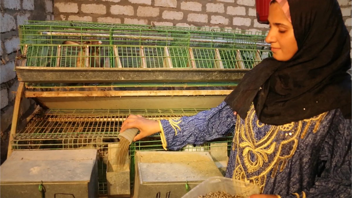 S. Grossbard edits Review of Econ of the Household (@econoflove) on Twitter photo DEC 2022 #REHO Empowering women in conservative settings: evidence from an intervention in rural #Egypt Ahmed Elsayed, Soiliou Daw Namoro & Rania Roushdy #REHO #Africa #MENAhttps://buff.ly/3DGUtY8
<a href="/Ragabecon/">Amr Ragab</a>
<a href="/AyhabSaad/">Ayhab Saad</a>
@soniaOreffice
<a href="/LucieGSchmidt/">Lucie Schmidt</a>
<a href="/taitarasu/">Jorge M. Agüero</a>
@lei… DEC 2022 #REHO Empowering women in conservative settings: evidence from an intervention in rural #Egypt Ahmed Elsayed, Soiliou Daw Namoro & Rania Roushdy #REHO #Africa #MENAhttps://buff.ly/3DGUtY8
<a href="/Ragabecon/">Amr Ragab</a>
<a href="/AyhabSaad/">Ayhab Saad</a>
@soniaOreffice
<a href="/LucieGSchmidt/">Lucie Schmidt</a>
<a href="/taitarasu/">Jorge M. Agüero</a>
@lei…