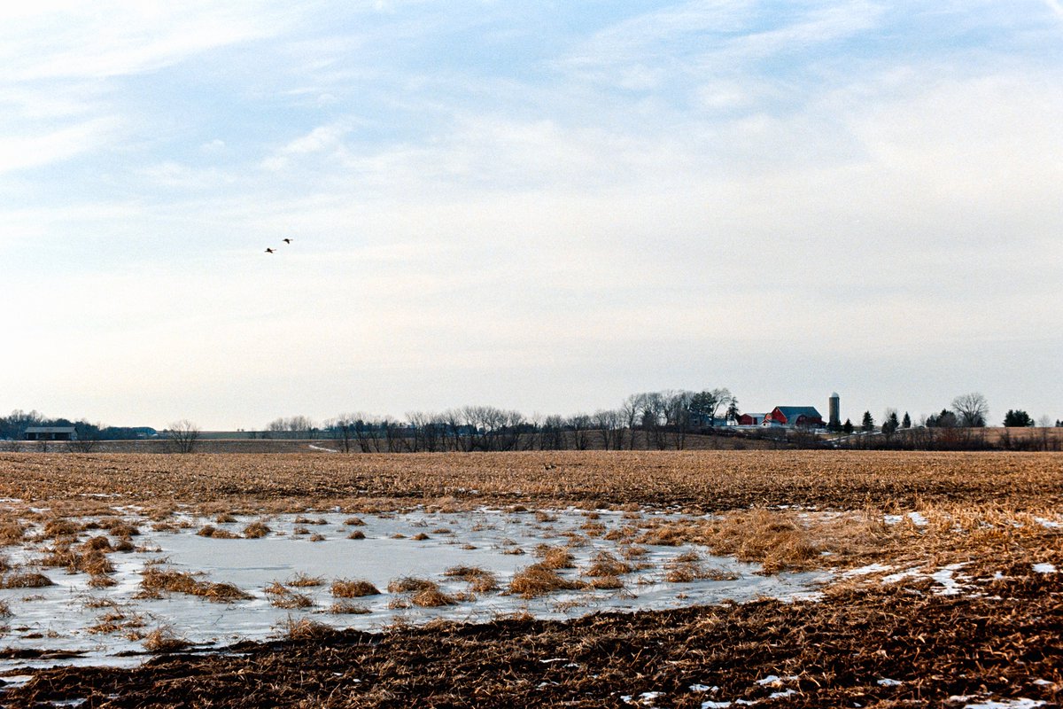 JustinPHofmann's tweet photo. Some Wisconsin barns on Ultramax https://t.co/SdZPgDqYTf