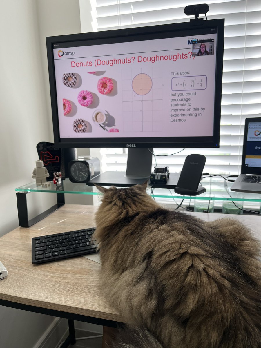 LorHRL's tweet photo. Mishka is really enjoying the @Advanced_Maths conference 😂 https://t.co/ssRdmElbnr