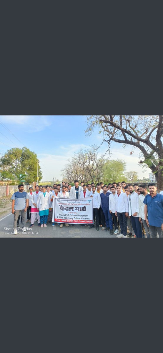 CVAS Udaipur  के पशु चिकित्सकों ने दो मुख्य मांगों को लेकर
आज निकाला पैदल मार्च
1. PG&amp; PHD stipend increment
2. New veterinary officer vacancy मुख्यमंत्री महोदय से निवेदन पशु चिकित्सकों की जायज मांग पर आवश्यक कार्रवाई करें
<a href="/ashokgehlot51/">Ashok Gehlot</a>
 <a href="/KatariaLalchand/">Lalchand Kataria</a>
