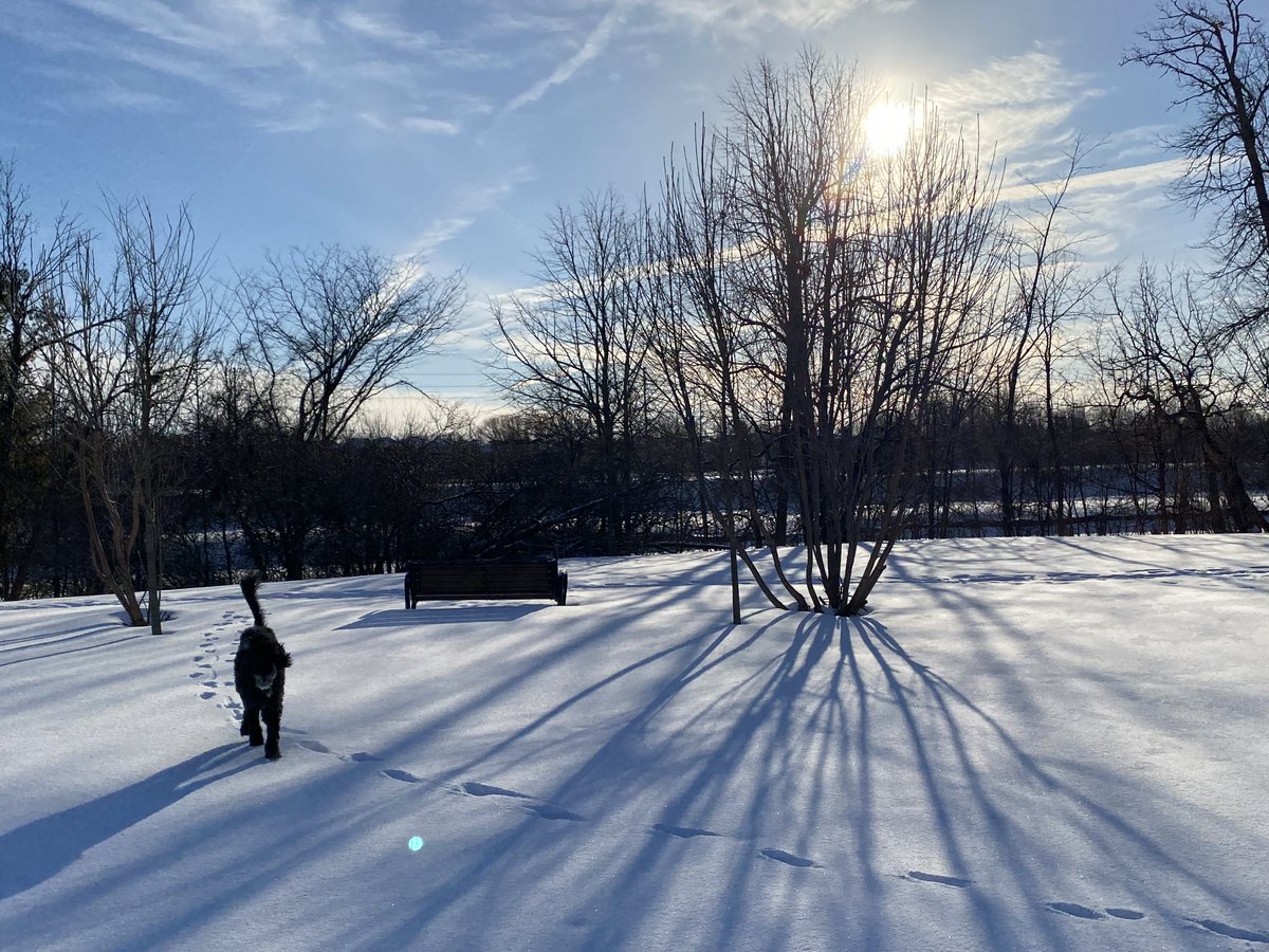 Happy to be home even if it’s a quick visit! Love our Canadian sunshine (even if the temps are much lower than in Berlin ;-) Murph is living his best life!!