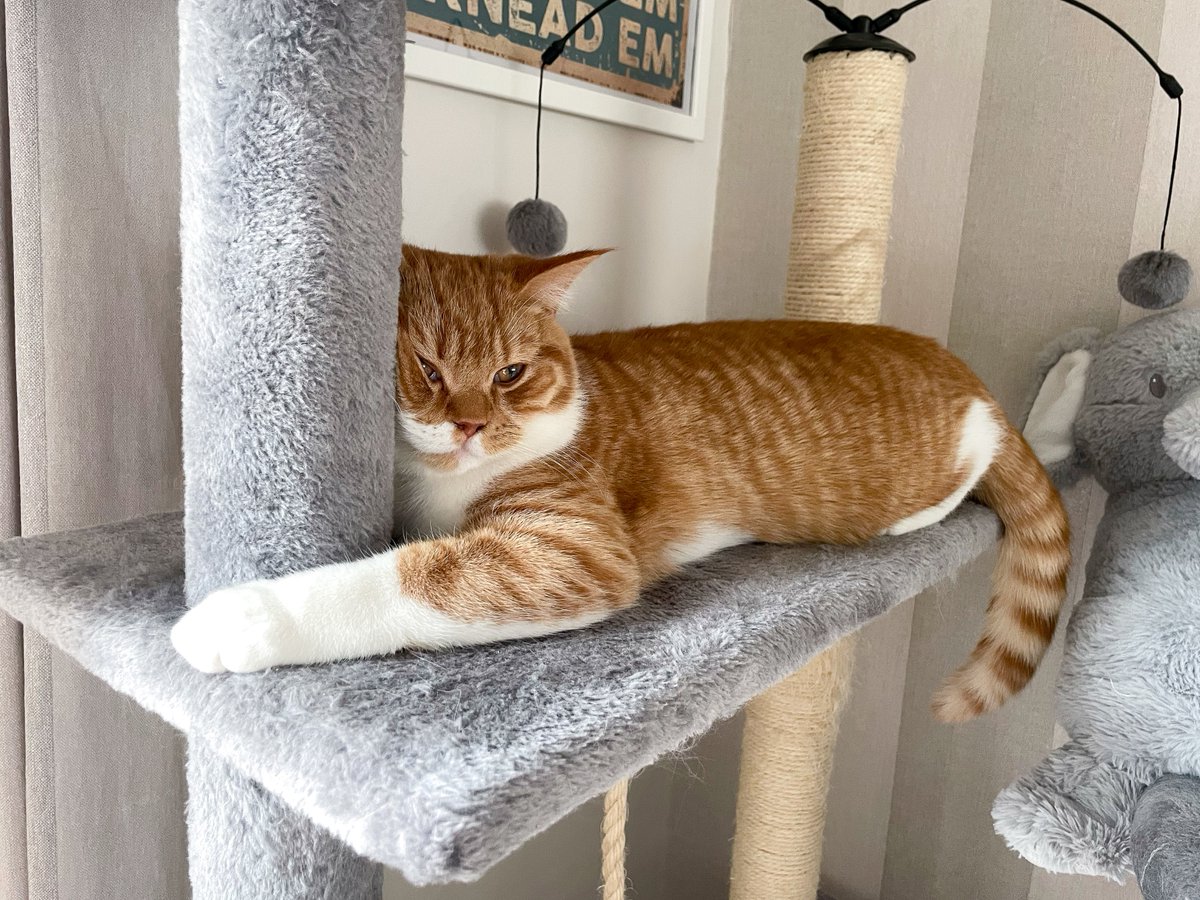 Why he do this? 🤔