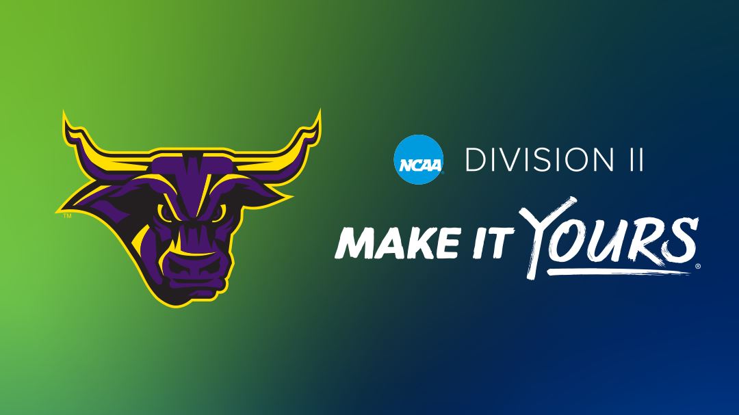 Proud member of <a href="/MinnStSoftball/">MSU Softball</a>, <a href="/MinnStAthletics/">Minn. St. Athletics</a>, the <a href="/NorthernSunConf/">NSIC</a> and <a href="/NCAADII/">NCAA Division II</a> #D2Day