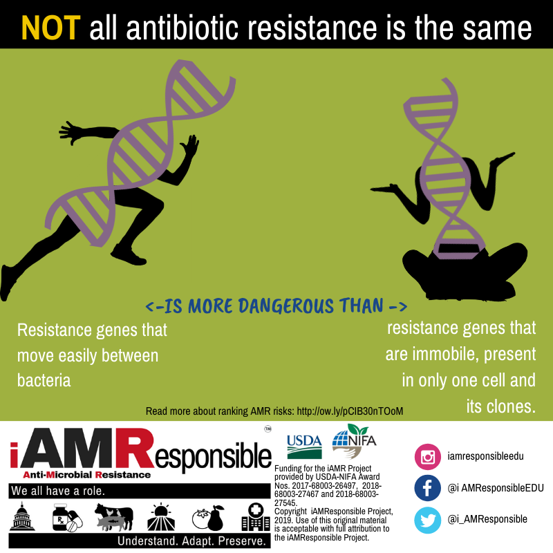 i_AMResponsible's tweet photo. #AntibioticResistance genes are all around us, but the health risks are not equal. Mobile genes are more dangerous because they can be transferred easily to #bacteria not previously resistant to drugs. Learn more about the different levels of risk: https://t.co/2rsmH3gwAQ https://t.co/JEWiIJD4PV