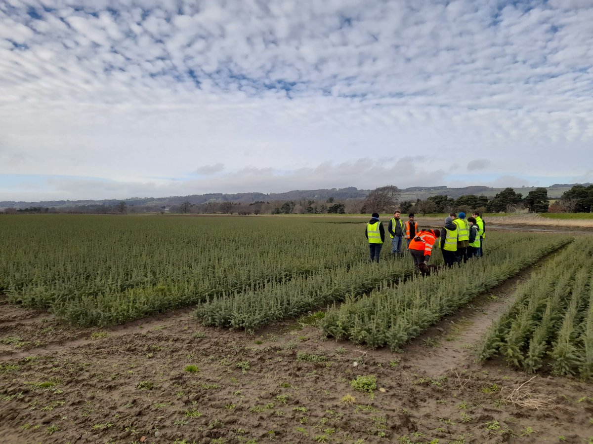 SRUCStudy's tweet image. Last week our HNC Forestry students visited Trees Please. This is a bare-root forest nursery near Corbridge, Hexham (Northumberland). They are one of the largest bareroot forest nurseries in England. 
Visit sruc.ac.uk/courses 
#TreesPlease @treesplease