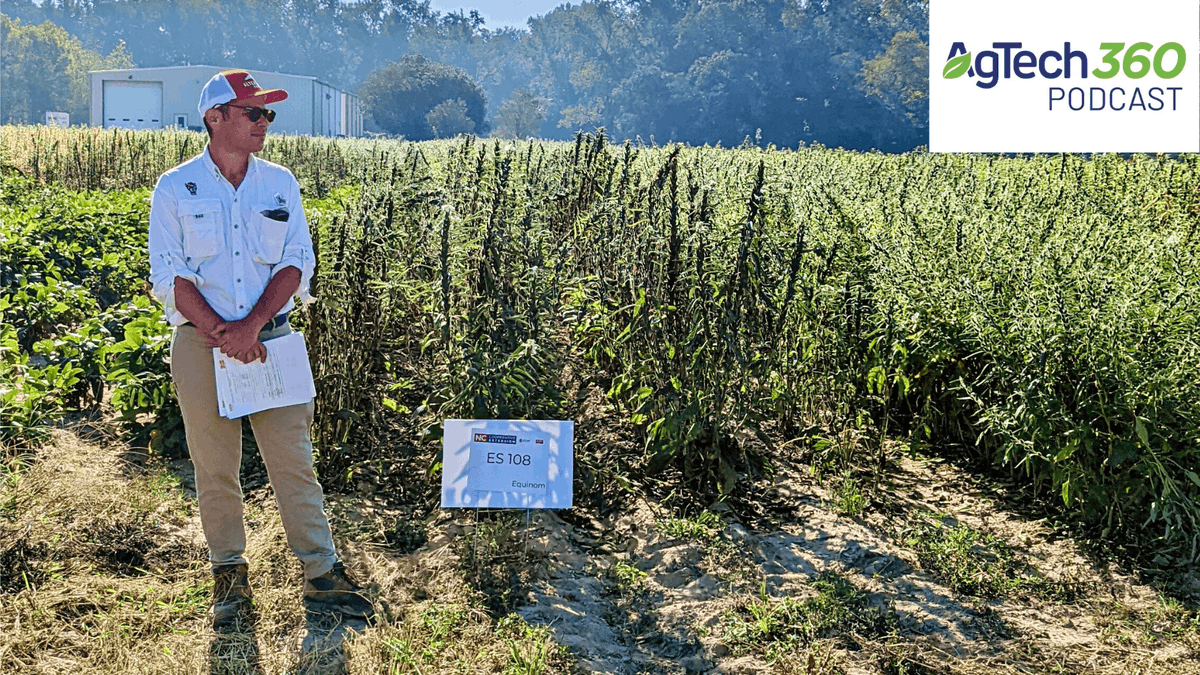 NC_PSI's tweet photo. NEW EPISODE 🎉 This week, Exec Director @adrianpercy gets a sneak peek into the future of NC's alternative crop scene with PSI faculty David Suchoff. Listen along as they discuss the bright potential for #hemp, #sesame, #sunflower, #flax and more.
https://t.co/VCp7FDVO8d https://t.co/wFJAcRKhyj