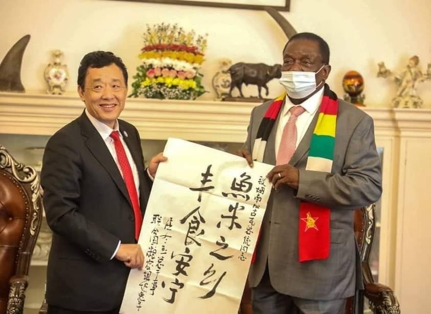 mail_zim's tweet photo. H.E. President Mnangagwa meets the Food and Agriculture Organization (FAO) Director General at State House. He was accompanied by Zimbabwe Ambassador to Rome, Amb Mietano Chauke, &amp; FAO Head of Mission in Zimbabwe,  Mr Patrice Talla. https://t.co/87Wm29siTt