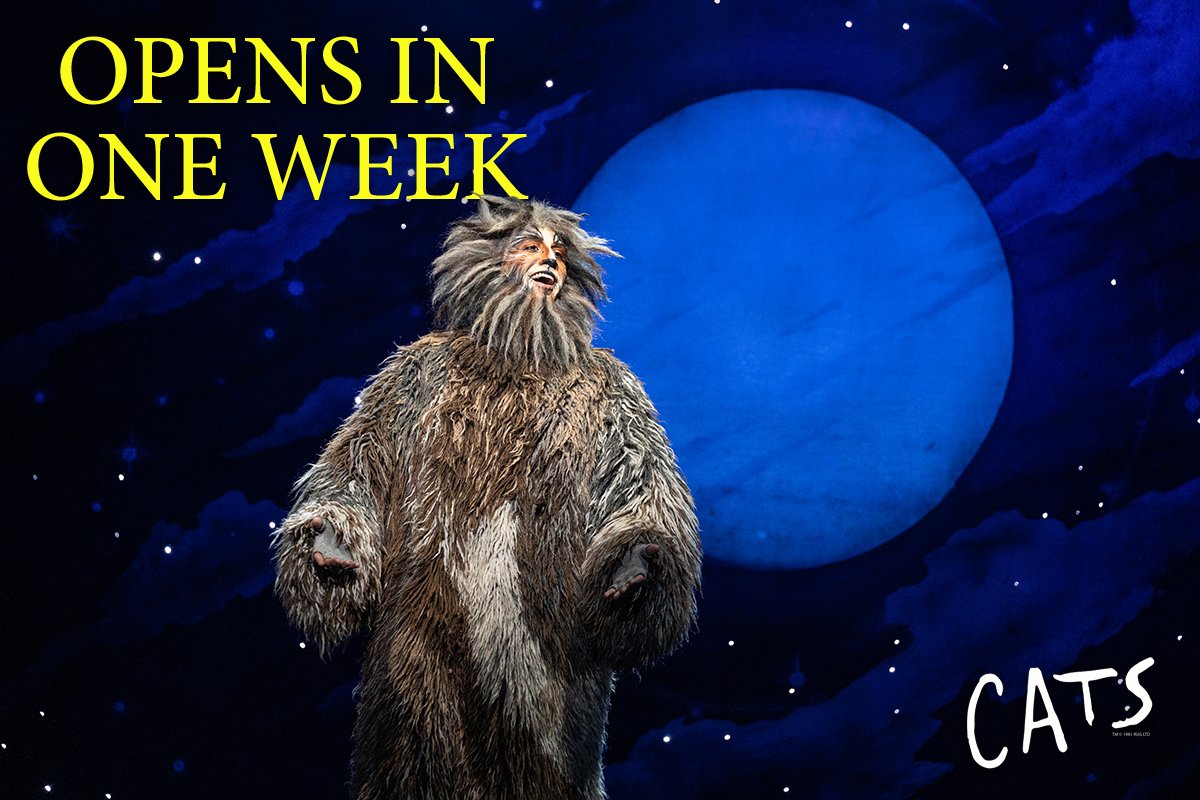 BroadwayInBing's tweet photo. Only one more week until CATS returns to the Forum Theatre! Get your tickets for the March 1 &amp; 2 performances at the Forum Theatre @ 7:30PM! 🐱🌙

Tickets can be purchased here https://t.co/lpqdRcNZe6 or in person at the Arena Box Office! 🎟️

Photo📸: Matthew Murphy, MurphyMade https://t.co/T0GBK64CYq