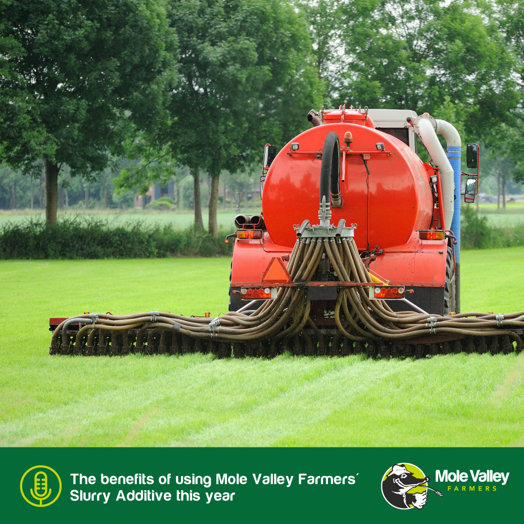 Check out our latest podcast 🎧 on slurry additives, which discusses how a natural additive can reduce solids, control odour and retain nitrogen 👍 Listen now 👉 rss.com/podcasts/mvf/