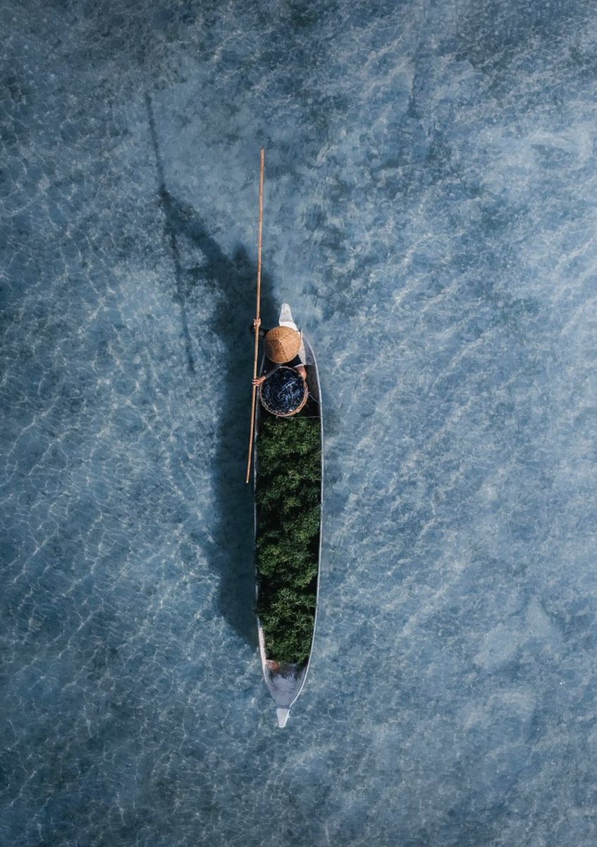 COPYTRACK's tweet image. Amazing shot from Bali 

captured by: @jordhammond

#visualsoflife #passionpassport #wekeepmoments #discovernature #theglobewanderer #liveforthestory #welovetoexplore #beautifuldestinations #bali #indonesia #wonderfulindonesia #photographycourse #copytrack #featuredartists