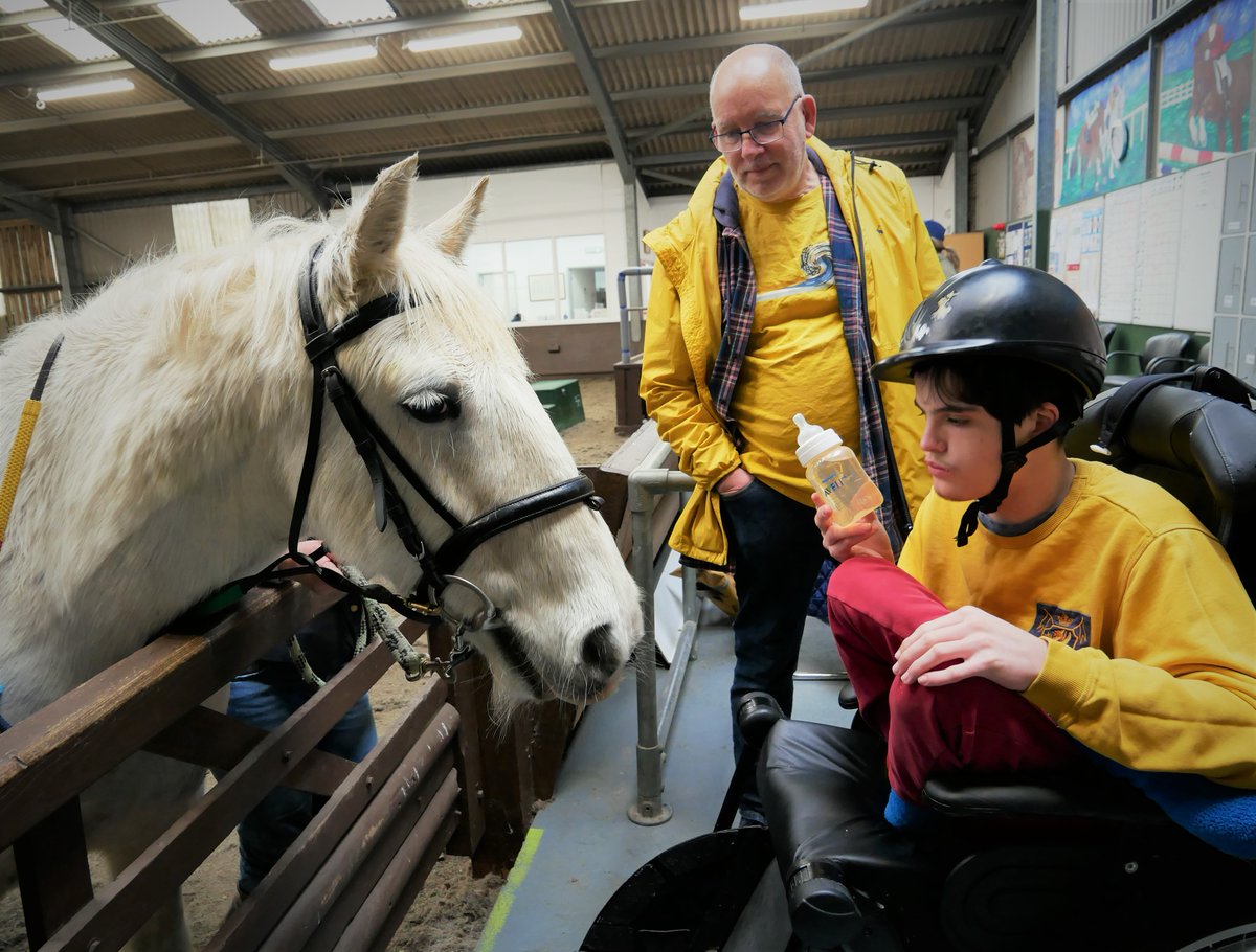 WellChild's tweet photo. Being part of the WellChild Family Tree enables parent #carers to access our online support group &amp; sign up for #accessible family events. These events allow children with complex health needs to experience fun activities with their siblings. https://t.co/LIBx4eHJPN https://t.co/ccpMAkLMBU