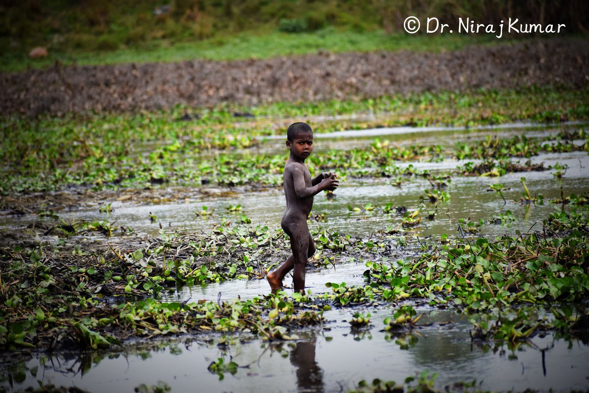 nirajishaan's tweet photo. Dhanauti River, Harsidhi, East Champaran, Bihar.
Water for Life Photo Contest
#WRDPhotoContest @WRD_Bihar https://t.co/QPfPoFsdOh