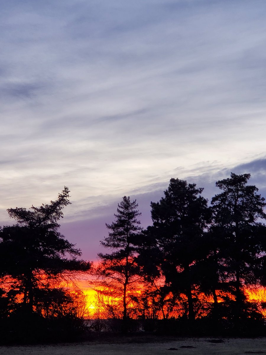 atThornhollow's tweet photo. Intense.
.
#silhouette #treephotography #orangesky #cloudyfied #cloudlovers #sunsetphotography #sunsets_captures #sunsetlover #sunset_hunter #sunsetchaser #total_sunset #dusk #duskphotography #lastlight #cloudphotography #landscapephotography #sunsetlight #pnw #easternoregon https://t.co/KsaIh4ctae