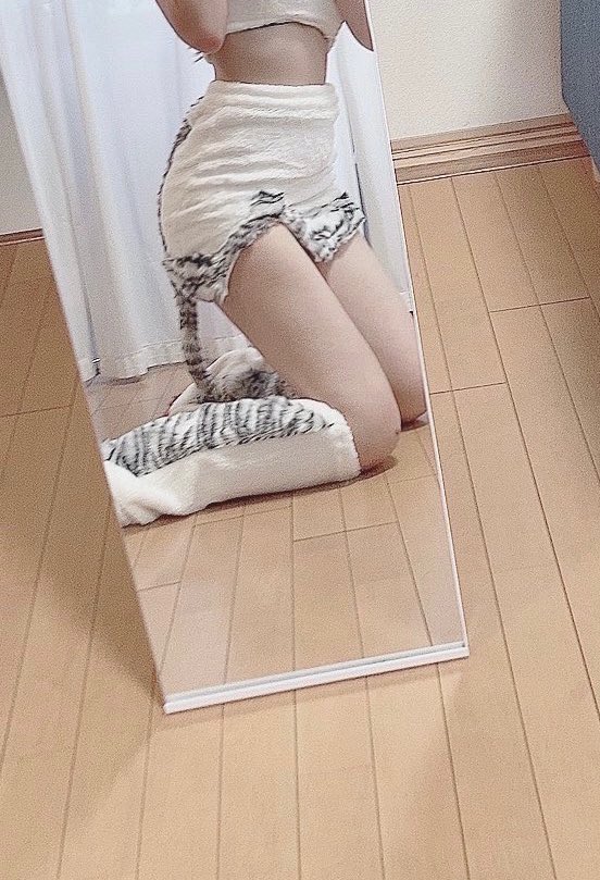 cleroin's tweet photo. #ねこの日 https://t.co/0ZMtwOdqDl