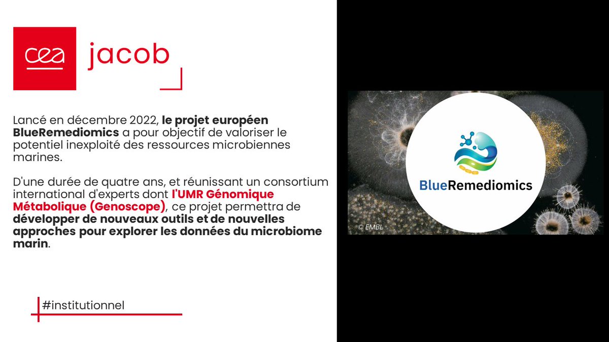 CEA_Jacob_'s tweet photo. [🌊#institutionnel] Lancé en décembre 2⃣0⃣2⃣2⃣, @BlueRemediomics va valoriser le potentiel inexploité du #microbiome marin. Réunissant des experts internationaux,  ce projet fait intervenir 3⃣ laboratoires de @GenoUMR_GM #Genoscope. Pour en savoir plus 👉https://t.co/XQx5LcCcEw https://t.co/1uWV6StPFj