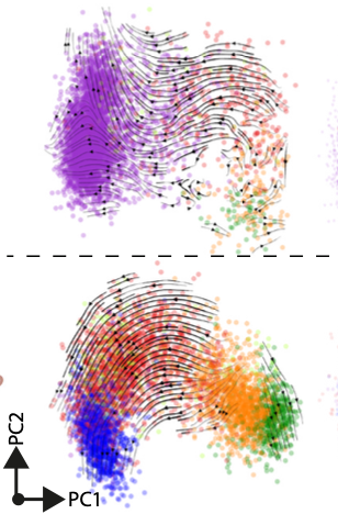 So excited that <a href="/Conorisco/">Conor Finlay</a> paper is finally officially accepted to Immunity.  Conor was the lead in every way but great support from <a href="/JamesEP_/">James Parkinson</a> <a href="/Lili_Zhang_Dr/">Lili</a> @Labninja2 and many more.  More later on how adaptive immunity drives macrophage trajectory and therefore function.