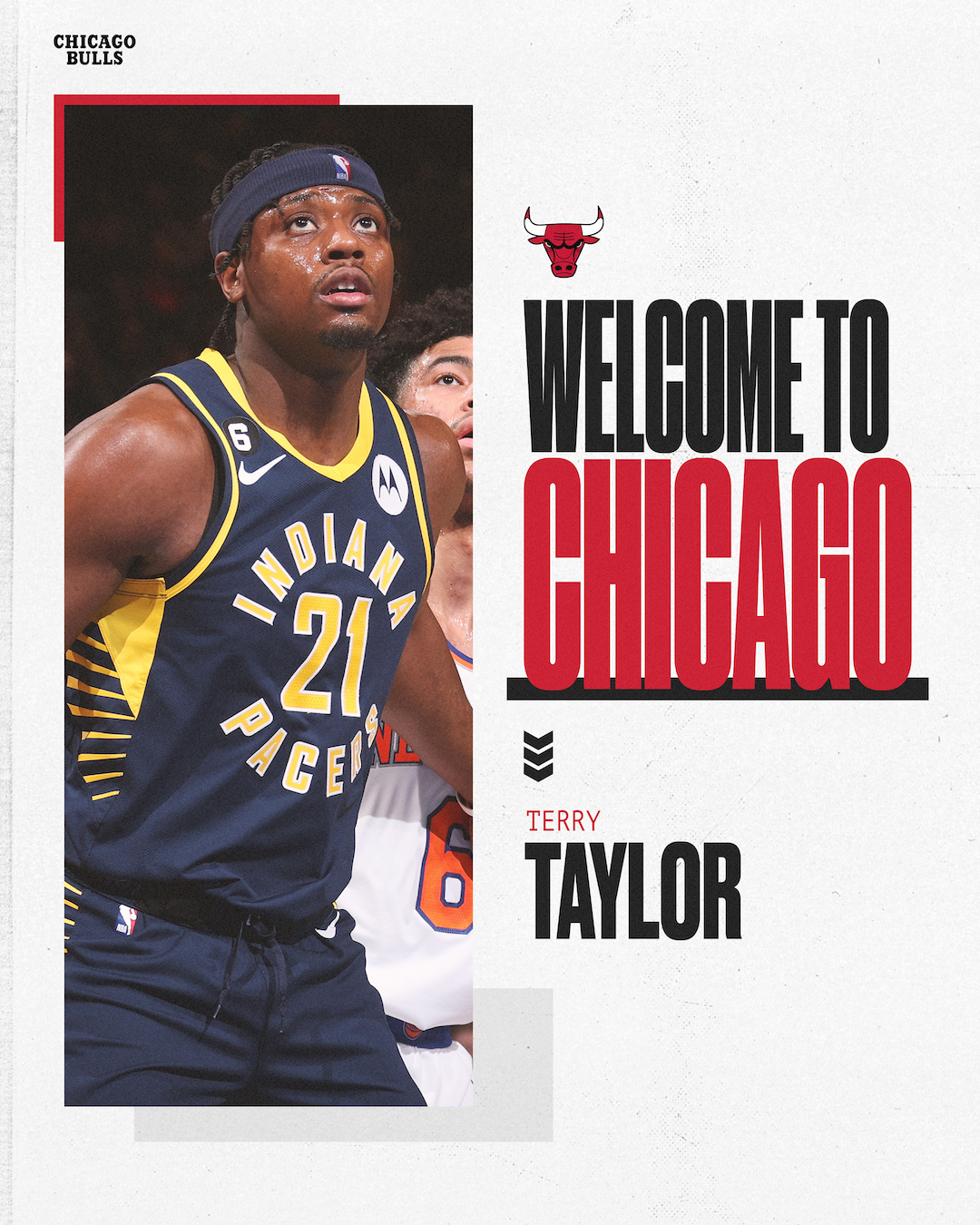 Terry Taylor, Chicago Bulls