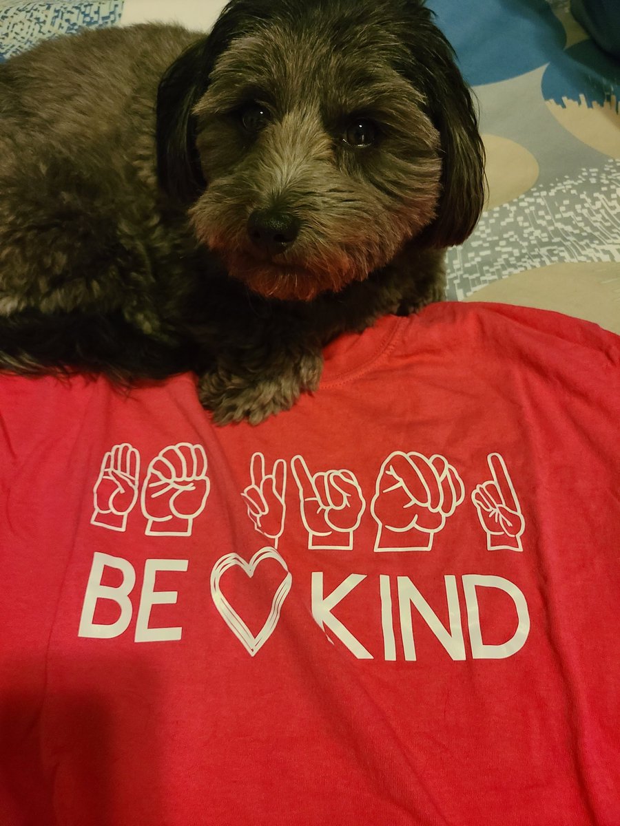 Tina Hickey (@mshickeytvdsb) on Twitter photo 