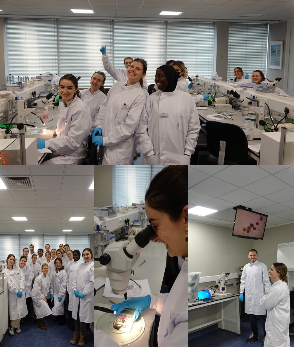 MSc in Clinical Embryology, University of Oxford tweet media