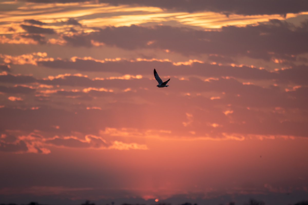 Another beautiful sunset last night at Lake Arlington <a href="/ArlingtonParks/">Arlington Parks, Recreation & Culture</a> <a href="/CityOfArlington/">City of Arlington</a>