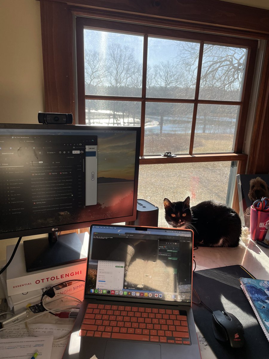 Working from home today, but not without close supervision