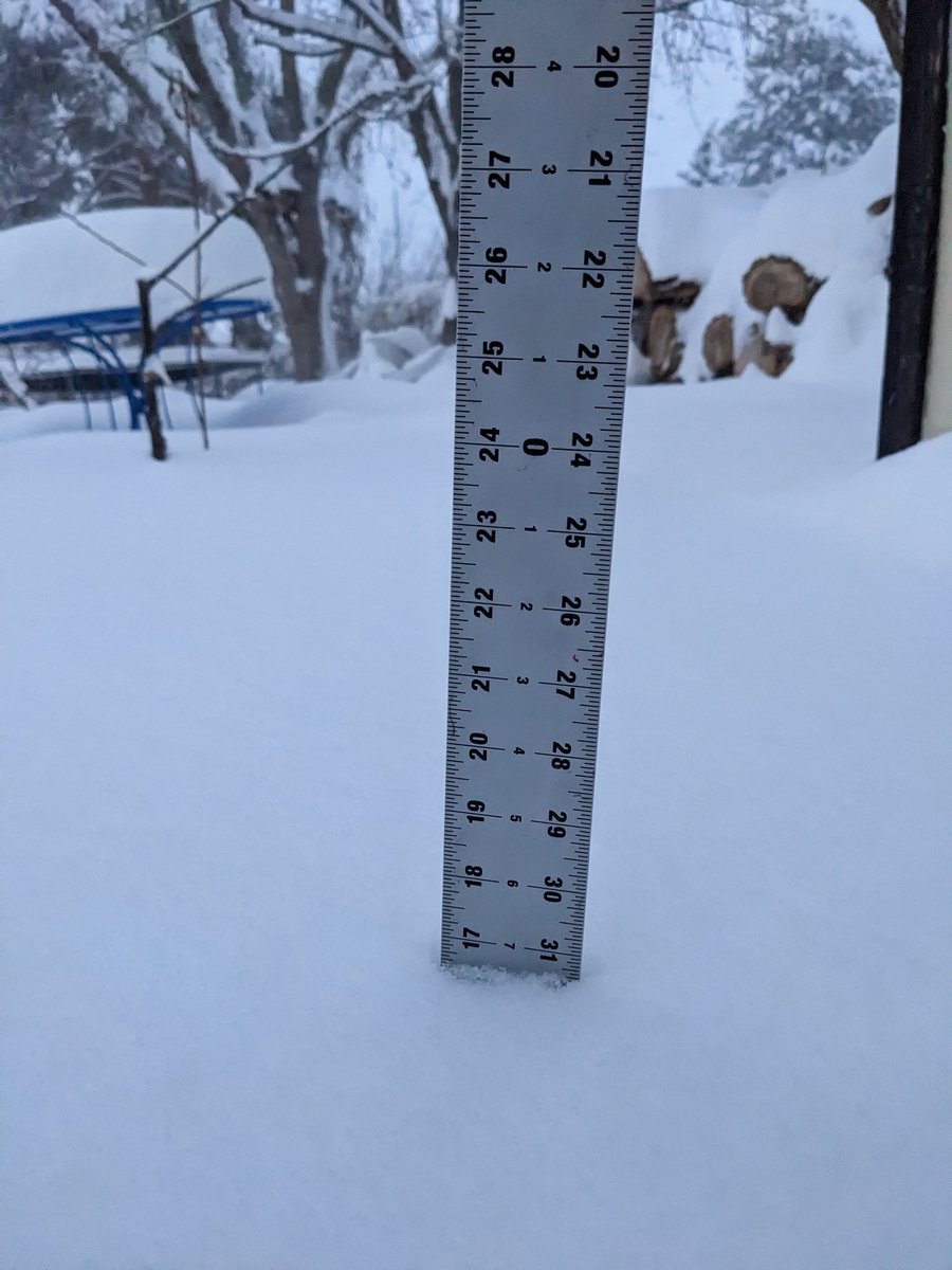 About 16.5' so far #utwx #cottonwoodheights